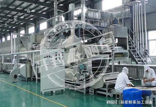 機(jī)械化加工粉條的優(yōu)勢(shì)、常見問題及解決方案全解析